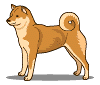 hond animéiert-biller-gif